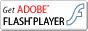 FlashPlayer�̃_�E�����[�h�͂����炩��