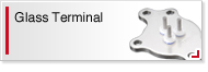 Glass Terminal