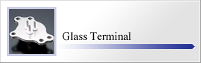 Glass Terminal