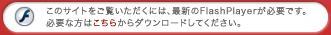 flashplayer̃_E[h